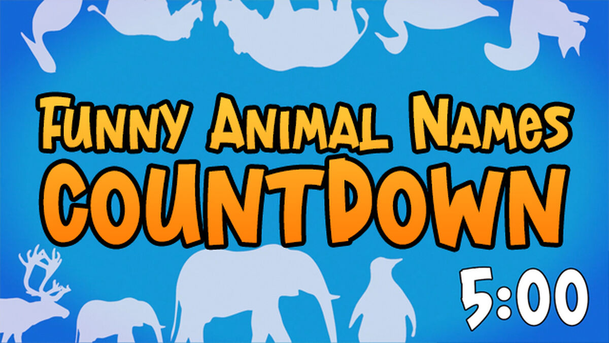 Funny Animal Names Countdown image number null